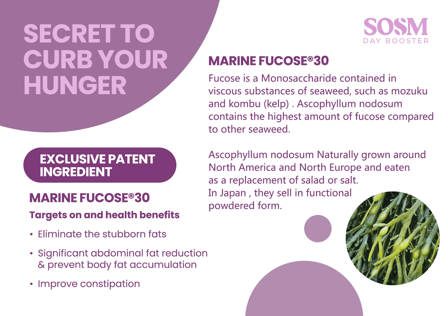 SOM1 SOSM Day & Night Booster