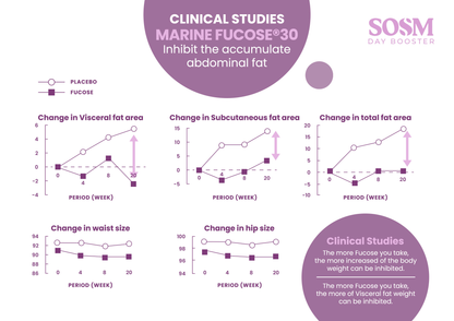 SOM1 SOSM Day & Night Booster
